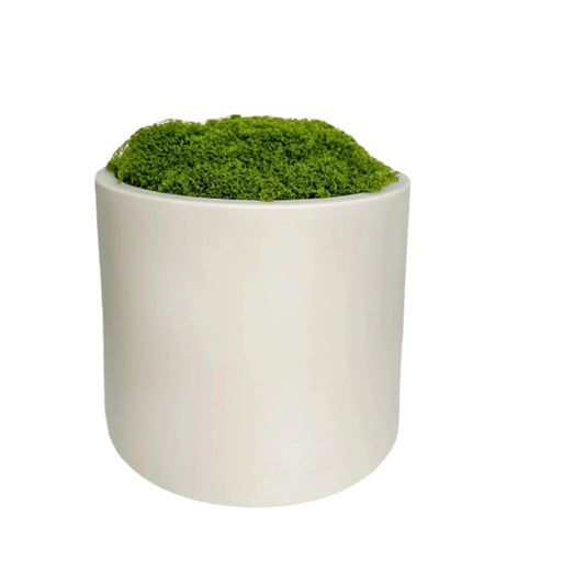 Lifelike Greens Moss-Covered Planter - Dekorwright 